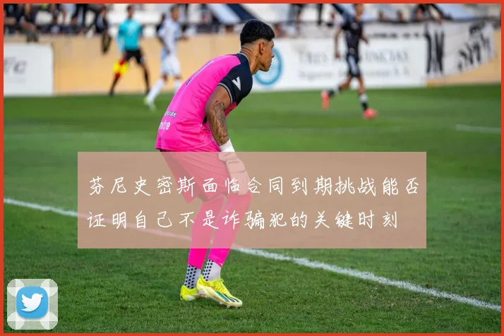 芬尼史密斯面临合同到期挑战能否证明自己不是诈骗犯的关键时刻