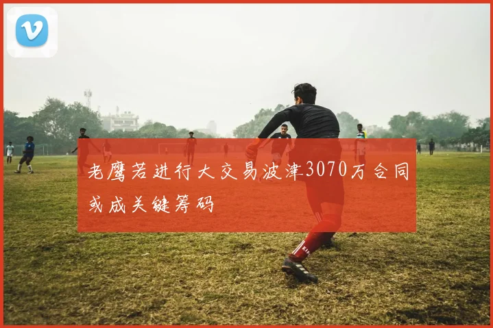 老鹰若进行大交易波津3070万合同或成关键筹码
