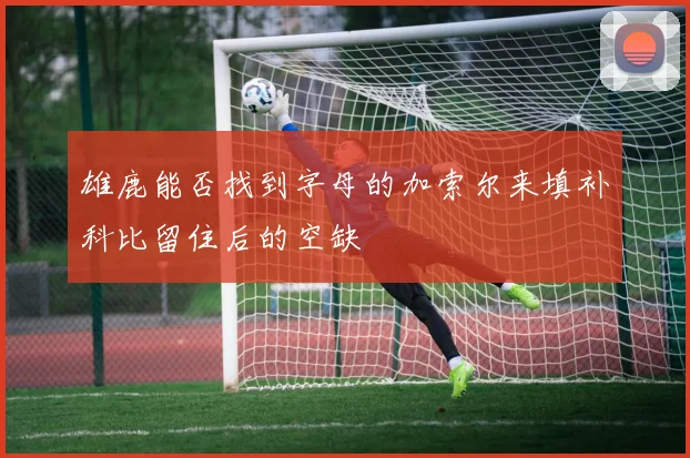 雄鹿能否找到字母的加索尔来填补科比留住后的空缺